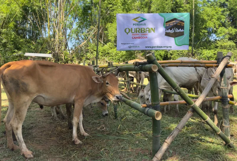 Palestine Ibadah Qurban banner with sheep in pen