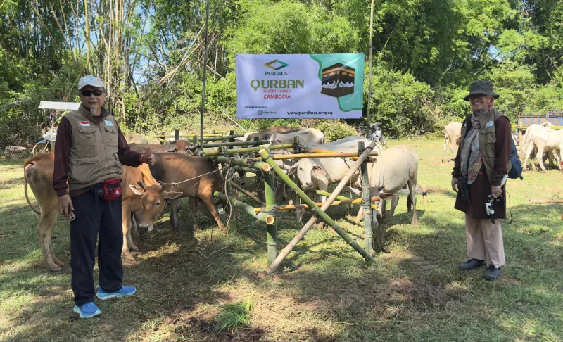 Perdaus volunteer overseeing goats for Qurban