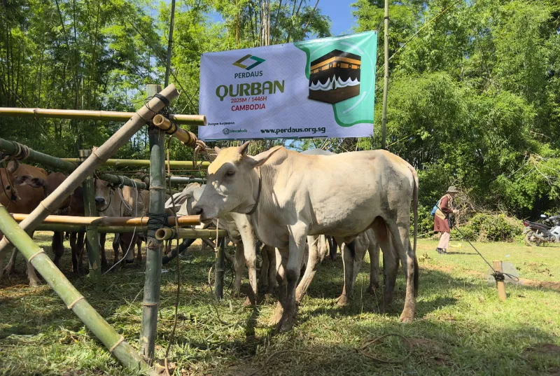 Packed meat portions ready for distribution