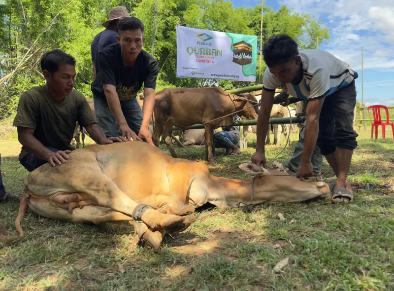 Labelled Qurban meat box for delivery