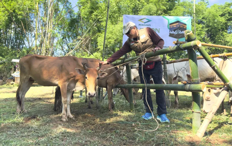 Stacked Hillside Meat Processors cartons