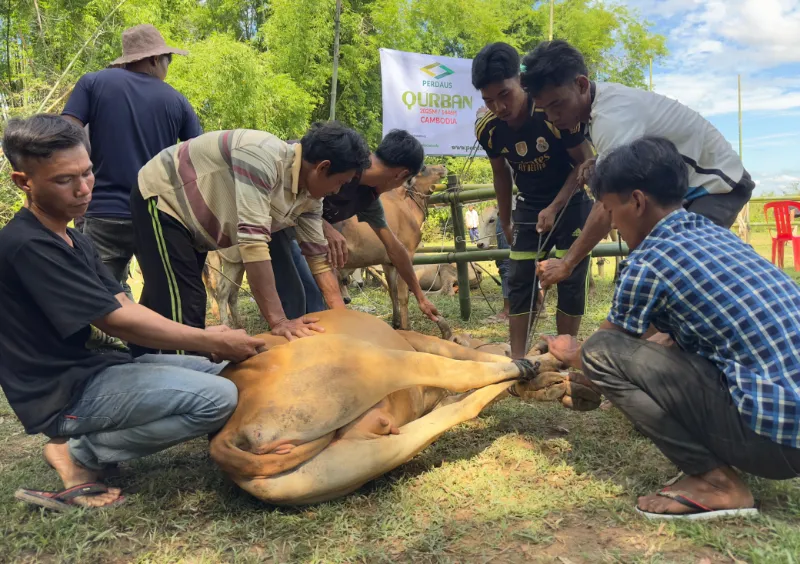 Perdaus member holding Qurban meat box