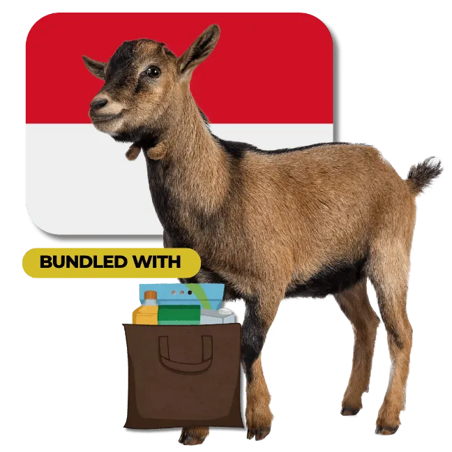 Indonesian Goat + Sponsor Groceries